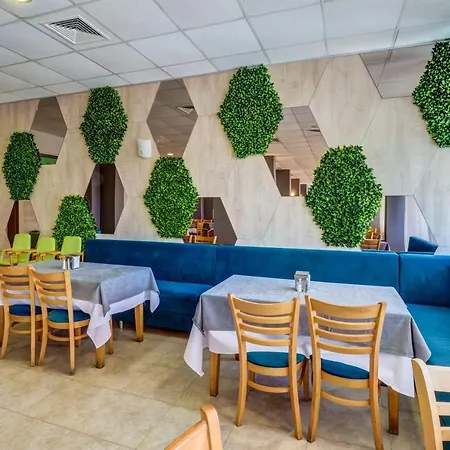 Paraiso オブゾー