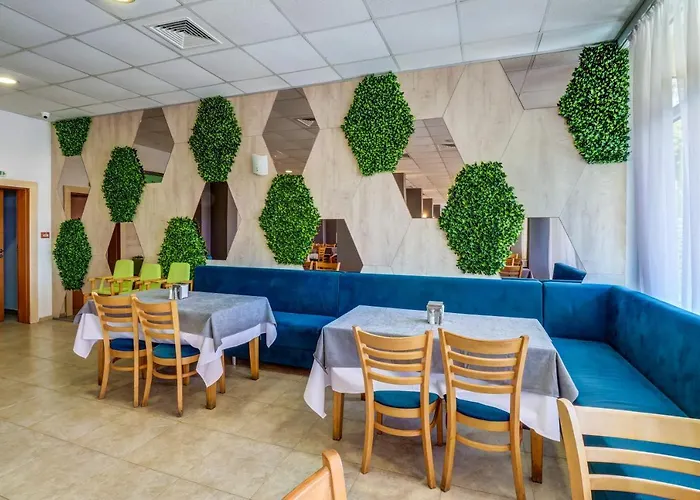 Paraiso 오브조르